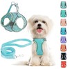 Small Dog Harness and Leash Set, No Pull Adjustable Reflective