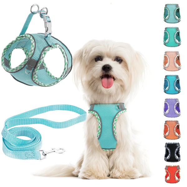 Small Dog Harness and Leash Set, No Pull Adjustable Reflective