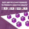Zero-Sugar Gut Harmony Gummies | 3-in-1 Pre+Pro+Postbiotic Blend with Vitamins