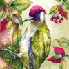 IHR Ideal Home Range Party Napkins Disposable 3-Ply Paper Lunch
