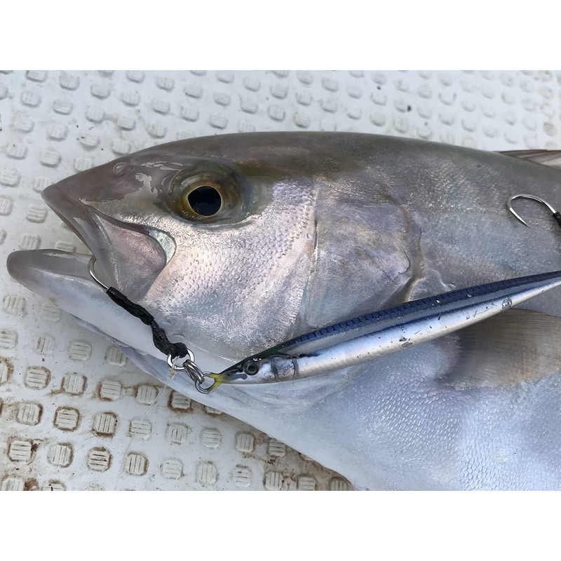 Metal Adict-05 60g #11 Poles KIBINAGO