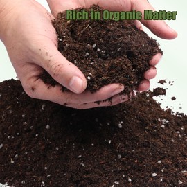 Doter Potting Soil Mix for Fern 10qt, Custom Hand Blended Mixture Suitable for Indoor/Outdoor Potted Fern Plant