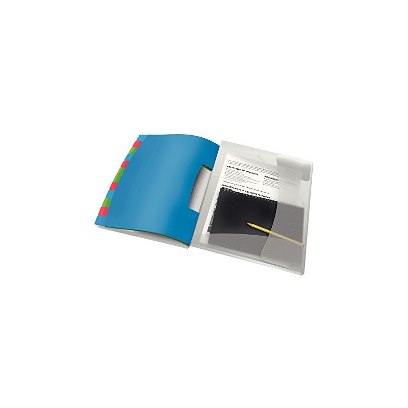 Esselte A4 Divider Book, Translucent, Integrated Index with 12 Compartments,