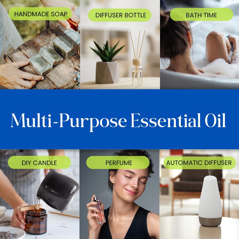 Lotus Aroma Essential Oil, Cypress, 0.5 Fluid Ounce