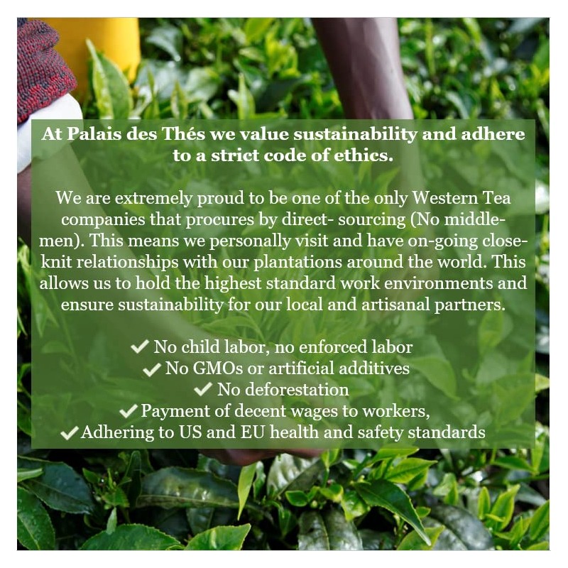 Palais des Thés - Geisha Flower - Green Tea &