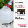Chapin 16200 2-Gallon Made in USA Garden Pump Sprayer with