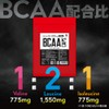 グロング GronG BCAA カプセル 520粒