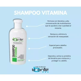 Labonté Shampoo Vitamina 250ml La Bonté + Envío Gratis