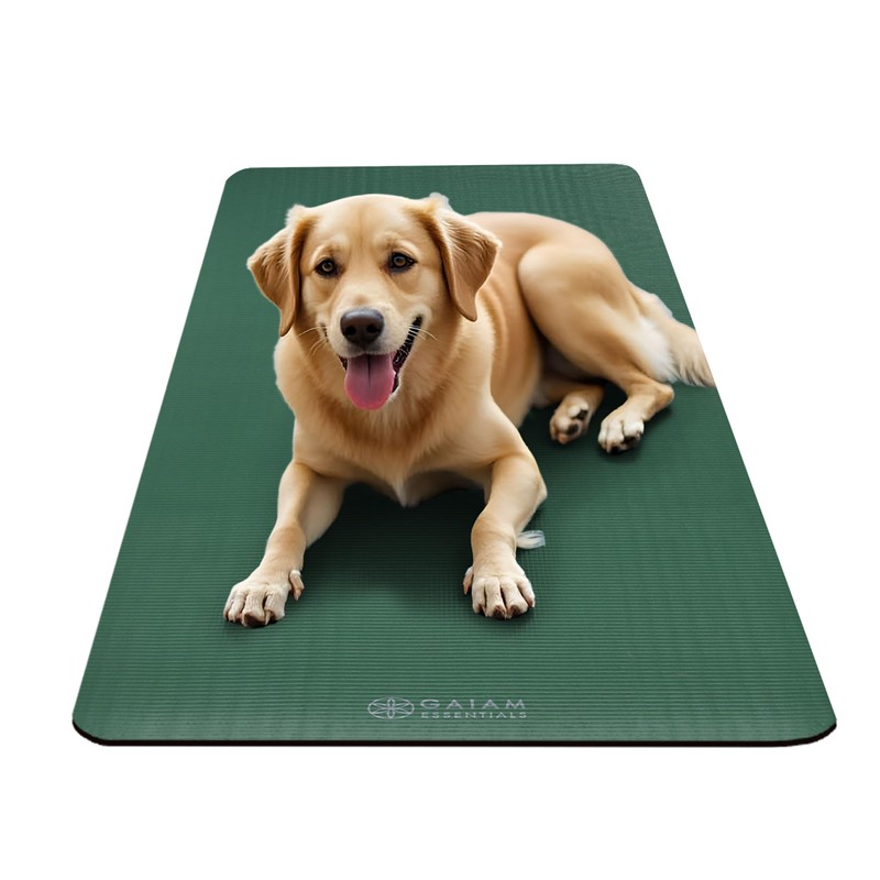 Gaiam Essentials Thick Yoga Mat - Fitness and Exercise Mat