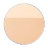 Integrate Gracy (インテグレート グレイシィ) Integrate Gracy Light Finish Powder UV