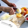 Fruit Gusher Ice Cream Scoop Black Stainless Steel Non-Stick Mashed
