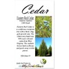 Cedar, Dogwood, Pine, Redwood, Spruce, Tree Seed by MySeeds.Co, You