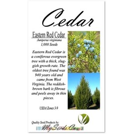Cedar, Dogwood, Pine, Redwood, Spruce, Tree Seed by MySeeds.Co, You Choose The Color n Quantity (1 Pack, Eastern Red Cedar - Big Pack)