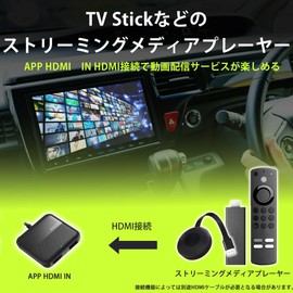 KEIYO APP AN-S134 HDMI IN HDMI Output Connects TVstick and Terrestrial Digital Tuner for Wired AppleCarPlay Vehicles (Single Item)