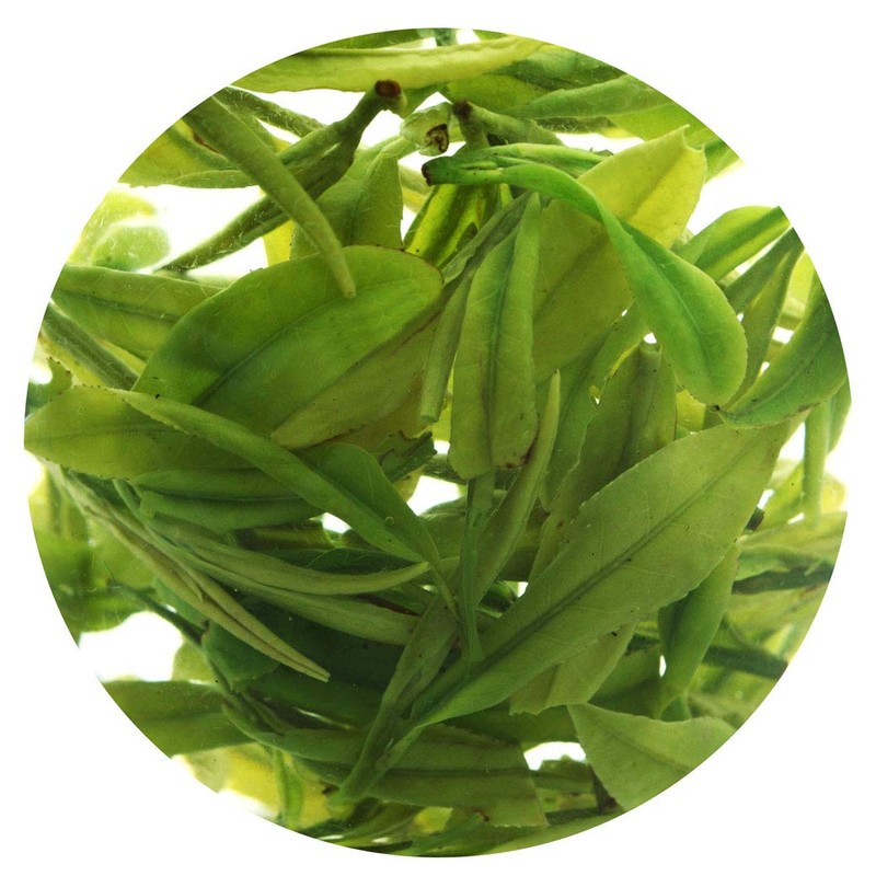 GOARTEA 2Pcs 250g / Total 17.6oz Supreme Spring Anji Bai