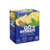 GoHydrate Instant Hydration Powder Packets - Low Sodium Electrolytes Drink