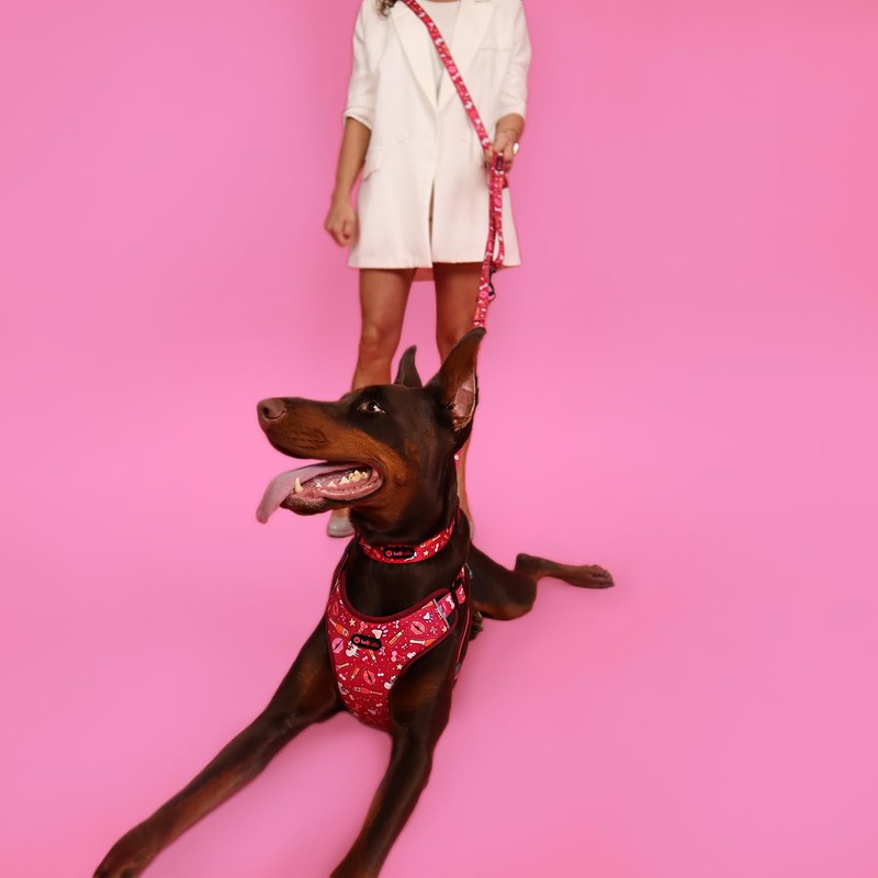 Helltails Interchangeable Dog Lead for Large Dogs with 2 Carabiners