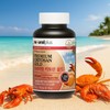 Natural Plus Premium Chitosan Gold 180 capsules, 4 packs /