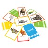 Amazing Flash Cards (Set Of 4 Boxes): Alphabet, Number, Animals,