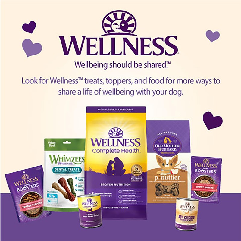 Wellness CORE Tiny Trainers Dog Treats, Natural, Training Treat, Grain