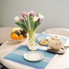 HeloHo Blue Placemats Set of 6,Stain-Resistant Kitchen Table Mats Washable