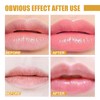 2 Pcs Lip Balm Honey Pot,Honey Propolis Lip Mask Hydrating