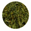 Omega Kräuter Nasturtium for horses and dogs in high quality,