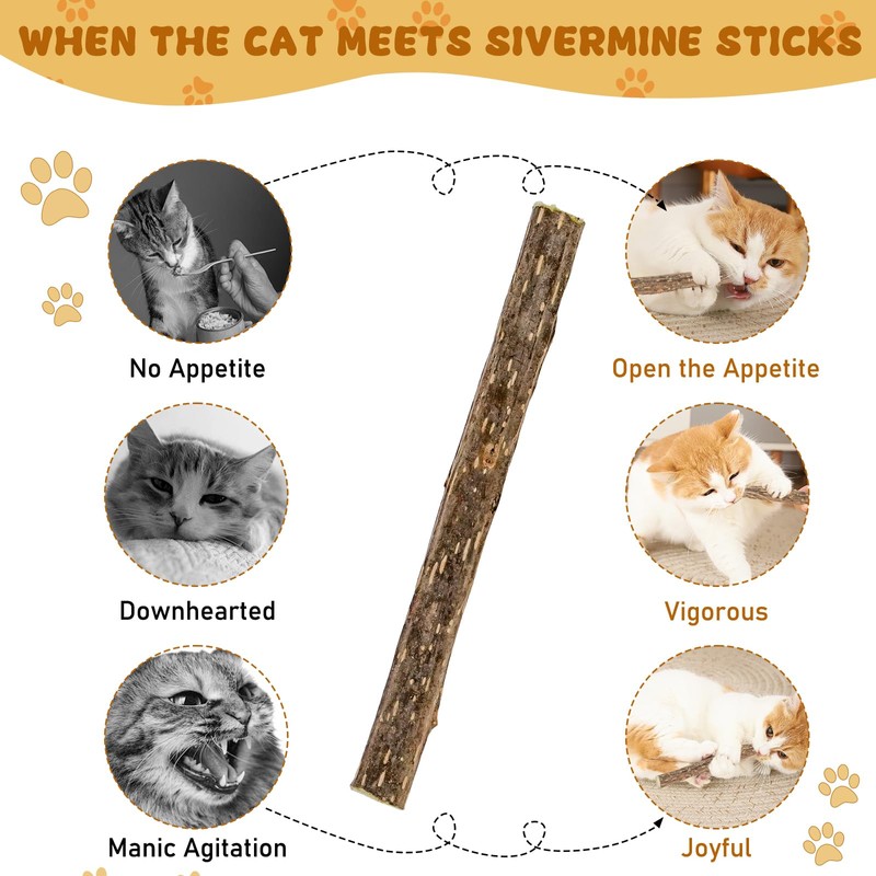 WoLover Silvervine Sticks for Cats, Natural Catnip Matatabi Chew Sticks