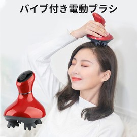 Youmay電動ブラシレッド版 防水 USB充電式 2段階スピード 10分タイマー