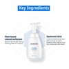 ZEROID [ZEROID]Soothing Foaming Cleanser 240ml