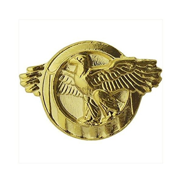 VANGUARD Lapel PIN: WWII Honorable Discharge (RUPTURED Duck) - Satin Gold