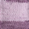 Caron Simply Soft Ombre Acrylic Aran Knitting Wool Yarn 113g