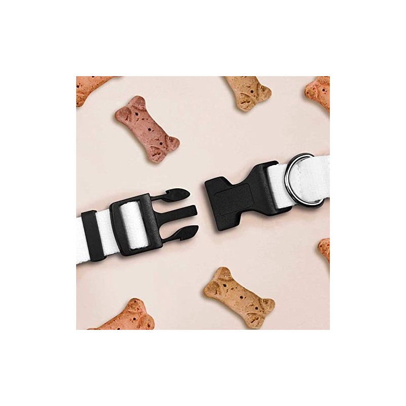 Small 'Dachshund Party Time' Dog Collar (PR00052077)