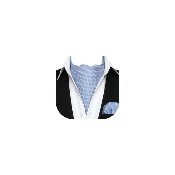 HISDERN Ascot Ties for Men Paisley Cravat Tie and Pocket