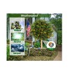 213 Ft Paper Tree Wrap For Damaged Bark, Weather Resistant