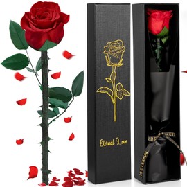 Vautvis Infinity Roses, Eternal Rose, Red Roses in Gift Box, Rose, Flowers Valentine's Day, Eternal Rose, Anniversary Gift, Woman, Mum
