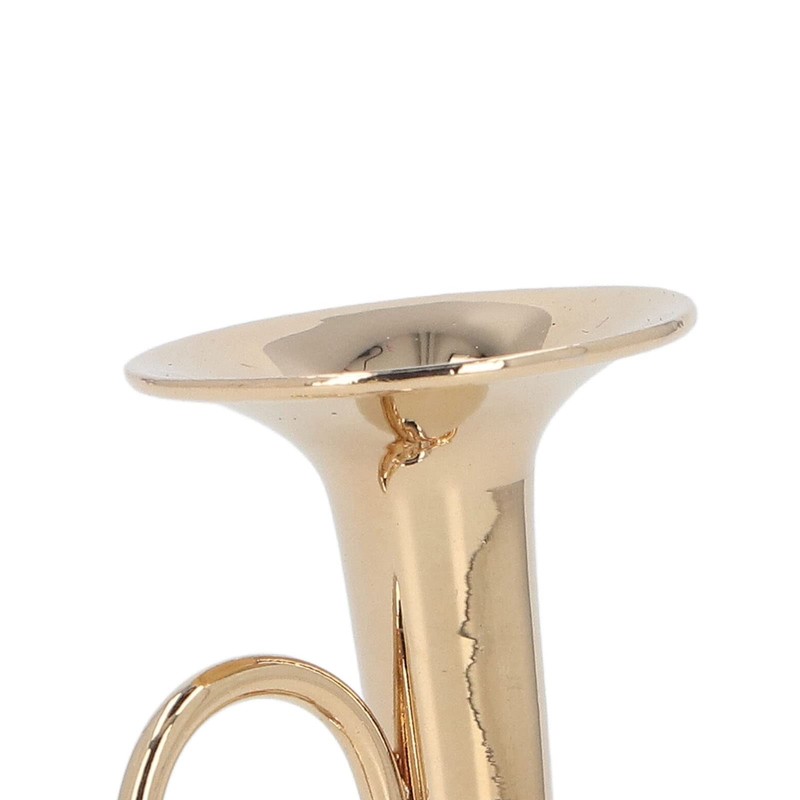 HEEPDD Mini Tuba Model, Miniature Tuba Model Brass Gold Plated