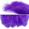 THARAHT 100pcs Fluffy Turkey Marabou Feathers 4-6inch for craft Dream