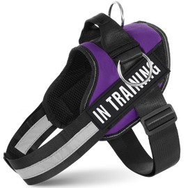 JUSTYEZI Essential Dog Harness with 3 Leash Clips - No-Pull, Adjustable, Comfortable Pet Vest Harness for Small to Large Dogs - Easy On, No Choke, Reflective, Padded Harness for Walking and Training