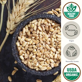 Be Still Farms Farro Grain Organic (4.8 lb) - Whole Emmer Wheat Berries Bulk - Ancient Grains Ideal for Soup, Salad, Flour - High in Protein & Fiber | USA Grown | USDA Certified | Vegan | Non-GMO