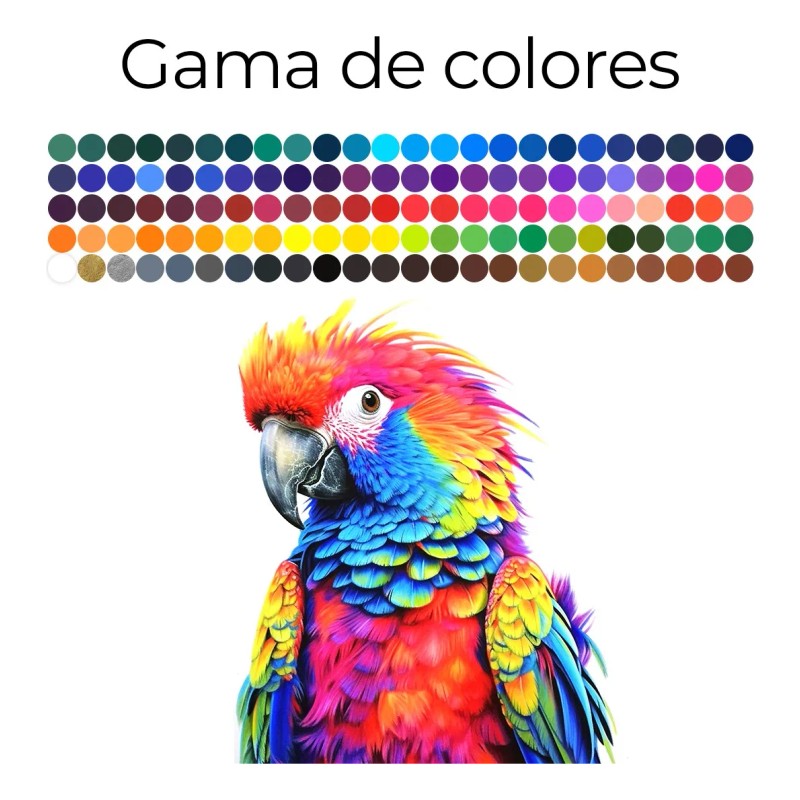 Juego De Lapices Para Dibujar Pintar De Colores Vibrantes 120