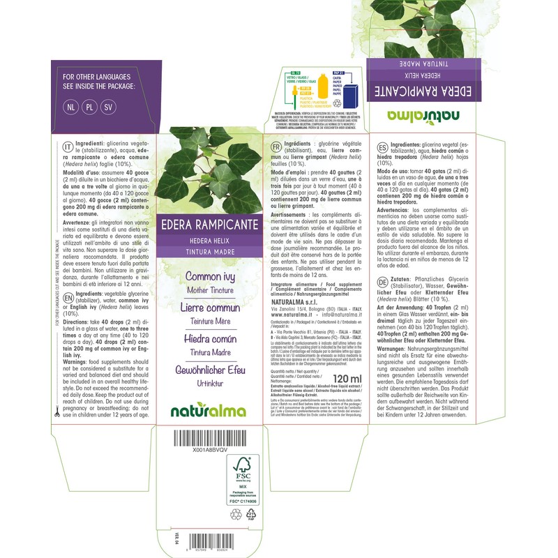 Ordinary Ivy or Climbing Ivy (Hedera Helix) Leaves Alcohol-Free Mother