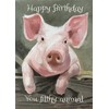 James Coates - Happy Birthday You Filthy Animal Pig Card
