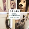5W Knob Lock Door Lock for Cats, Dogs, and Pets