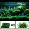 10 PCS Aquarium Moss Mesh, 304 Stainless Steel, 8 *