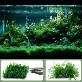 10 PCS Aquarium Moss Mesh, 304 Stainless Steel, 8 * 8cm, 1.4mm Hole