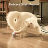 Cheerble Cheerble 2025 Upgrade Interactive Cat Ball Toy, Wicked Ball