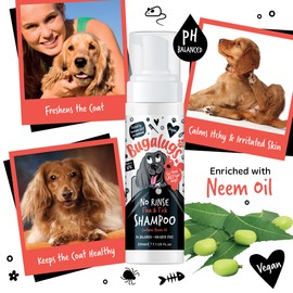 Flea and Tick Dog Shampoo by Bugalugs, Works on Smelly Puppies & Dogs, Contains Neem Oil PH Balanced Vegan Used by Professional Groom (No Rinse Shampoo 210ml)