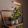 bseah Plant Grow Light for Indoor Plants, Full Spectrum Indoor