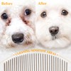 Flea Lice Comb,Professional Eye Comb For Cats & Dogs